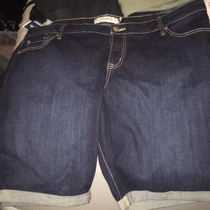 Torrid shorts